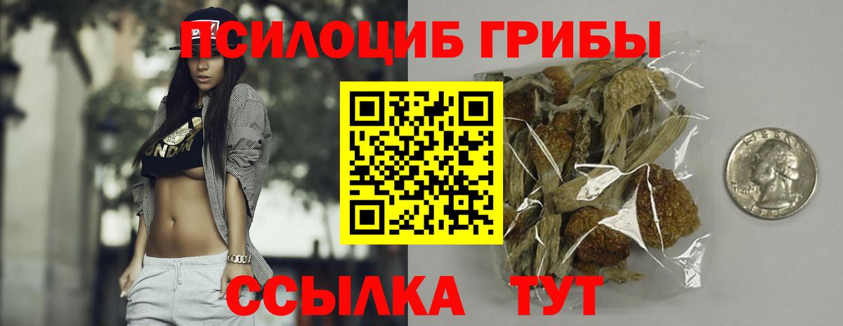Псилоцибиновые грибы мицелий Бутурлиновка